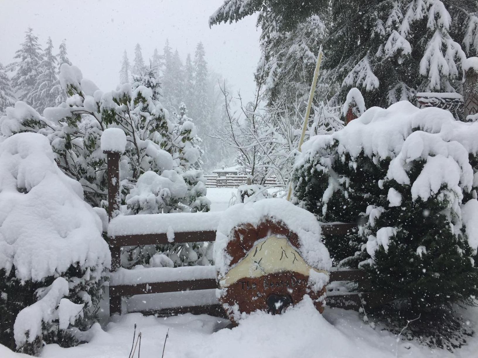 Bear'S Den Hideaway With Hot Tub Villa Ashford Luaran gambar